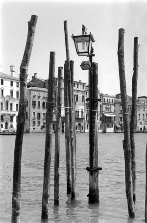 Poles in Water