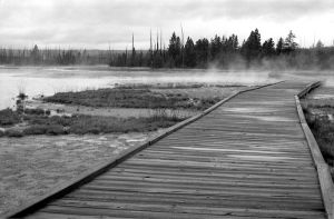 Yellowstone Series - Bridge